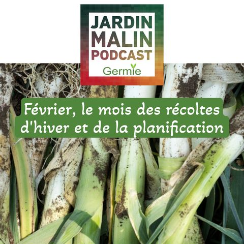 Février, le mois des récoltes d'hiver et de la planification
