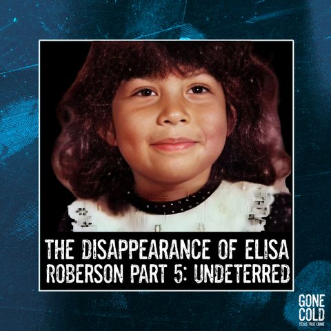 The Disappearance of Elisa Roberson Part 5: Undeterred
