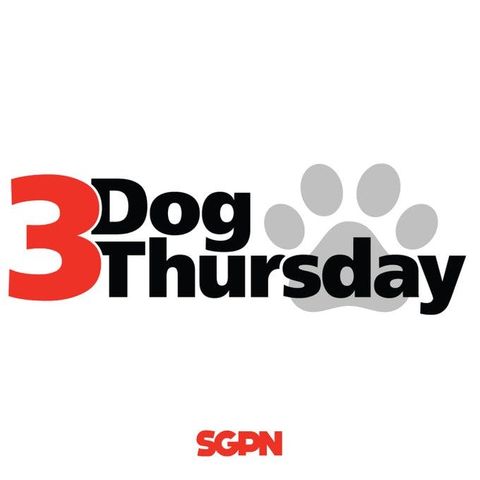 March Madness Begins With Underdog Picks! | Three Dog Thursday (Ep. 102)