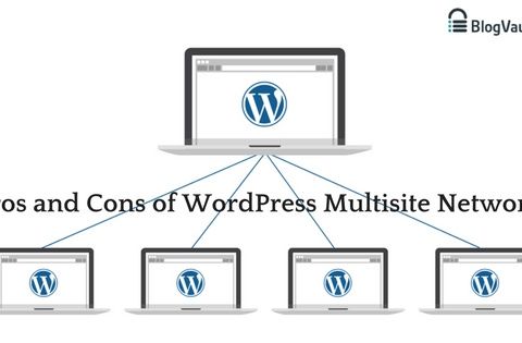 What is the use of WordPress Multisite