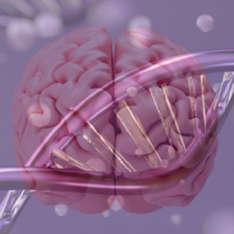 Changing the brain: nanocapsule therapy edits the Alzheimer’s gene [W[R]C]