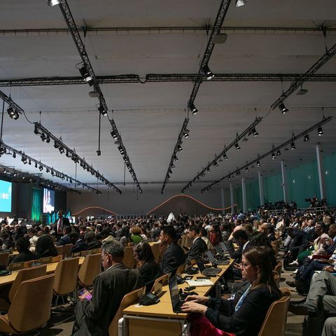 COP29 chega a acordo de US$ 300 bilhões anuais para luta contra crise climática