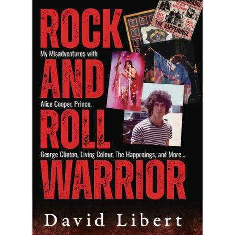 Rock and Roll Warrior - David Libert