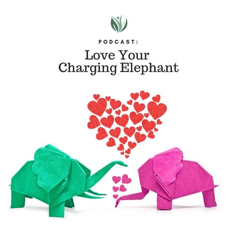 Love Your Charging Elephant, A Journey of Self-Love for Health