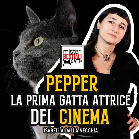 Pepper, la prima gatta attrice del cinema