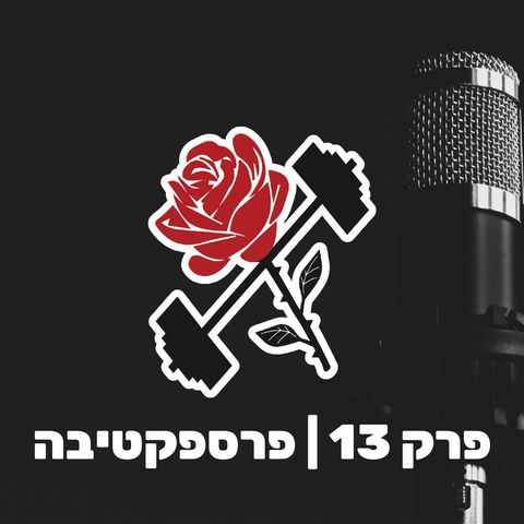 פרק 13 | פרספקטיבה