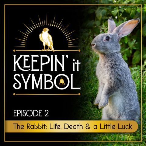 The Rabbit: Life, Death & a Little Luck