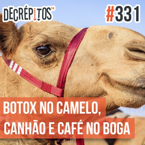 Decrépitos 331 - VACILO NEWS: Botox no Camelo, Bala de Canhão e Café no Boga