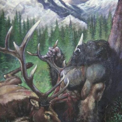 Hunter Witnesses a Sasquatch and a Moose go head to head.