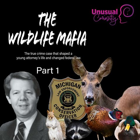 The Wildlife Mafia Part 1