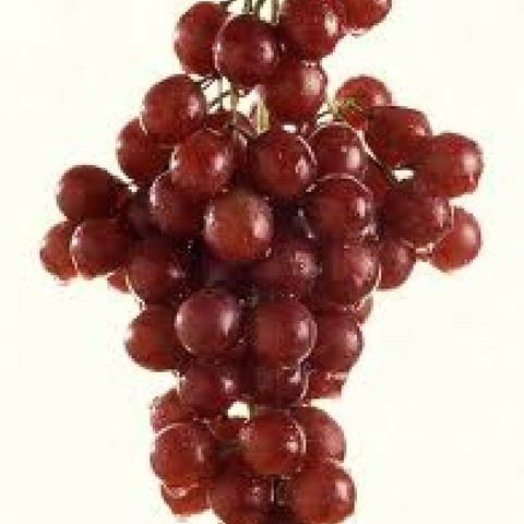 Sweet n Sour - The grape that Won