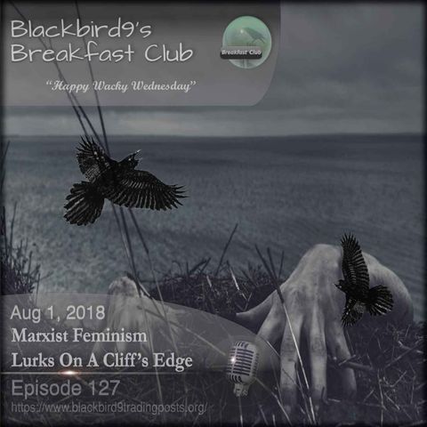 Marxist Feminism Lurks On A Cliff's Edge - Blackbird9 Podcast