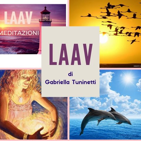 Collage di Meditazioni LAAV - Raccolta a cura di Fabio V.