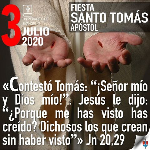 Homilía 3 Julio 2020 Lecciones del Evangelio según San Juan sobre ver y creer