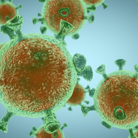Coronavirus Updated Safety Protocols