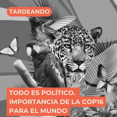 Todo es Político :: La importancia de la COP16 para el mundo