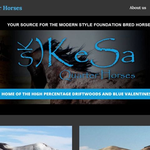 The Buzz - Ep. 28 New KESA Quarter Horses website!