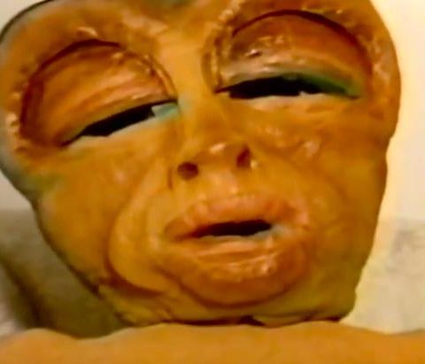 Amici Alieni: E.T Vs Homoti