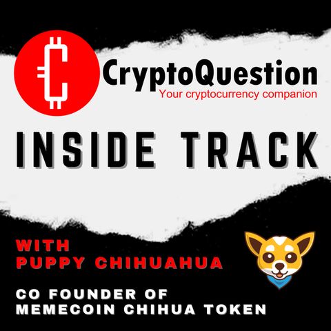 Inside Track with Puppy Chihuahua from Chihua Token