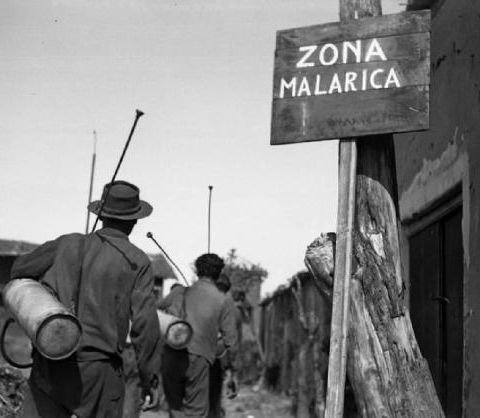 6-Guerra alla Malaria in Italia: Una Storia di Scienza e Politica (no, il fascismo non c'entra)