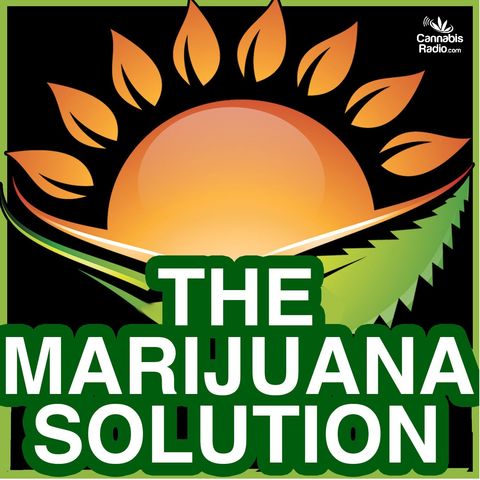 Cannabis Cultivation And Breeding Experts