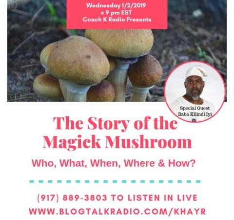 The Story Of The Magic Mushroom - Who, What, When, Where & How?