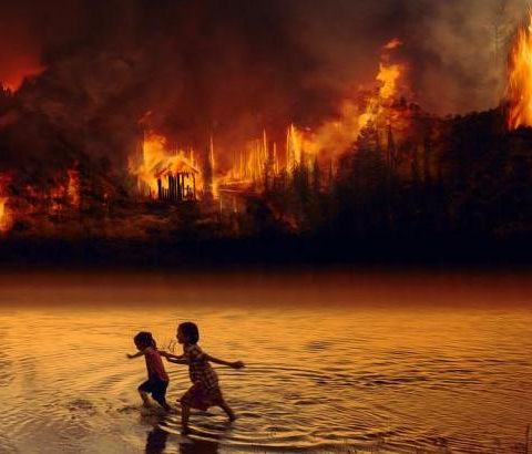 Perché l'Amazzonia brucia