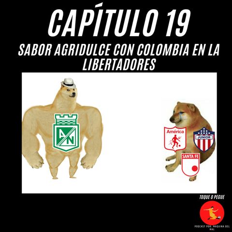 Capítulo 19: Sabor Agridulce con Colombia en la Libertadores