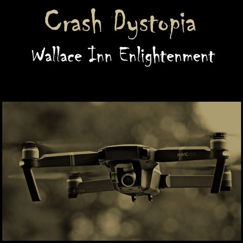 Crash Dystopia Wallace Inn Enlightenment