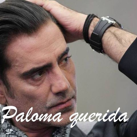 PALOMA QUERIDA -1T