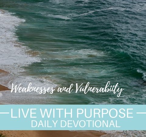 #039 Weaknesses and Vulnerability