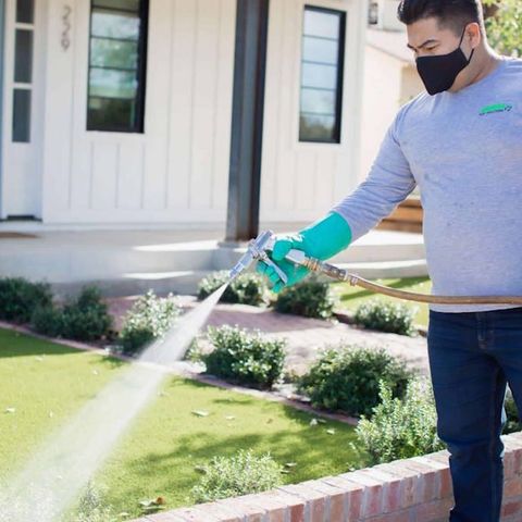 Chandler-pest-control