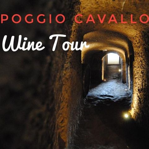 BELLAVITA....POGGIO CAVALLO  il produttore di vini che prima metteva i vinili VINI E VINILI....