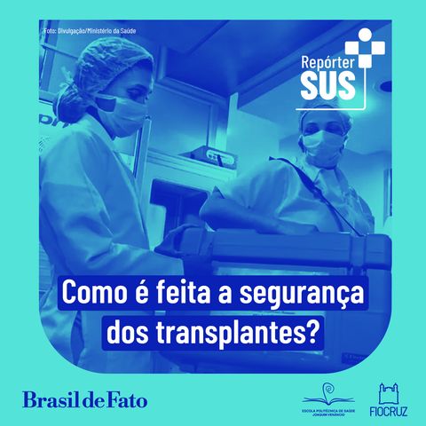 Como funciona a segurança de órgãos para transplantes no Brasil?