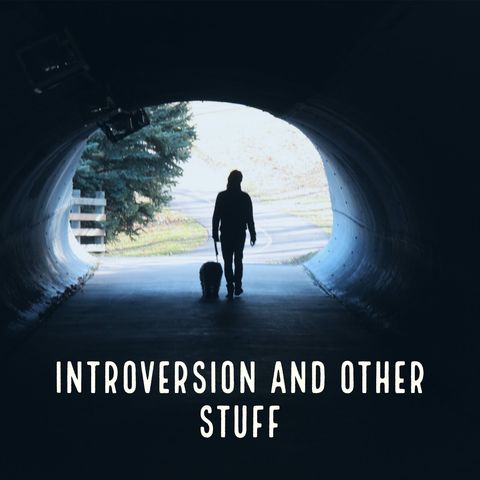 Introversion and Other Stuff