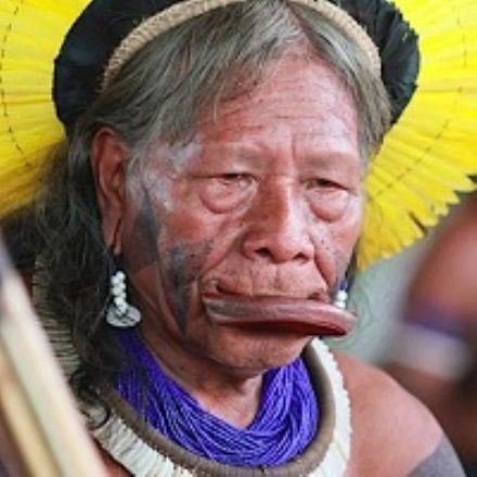 La soluzione che il sinodo sull'Amazzonia non darà mai: torniamo a celebrare le 4 tempora per i ''problemi ecologici'' e la mancanza di voca