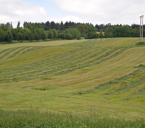 La ricetta norvegese per il riciclo del fosforo