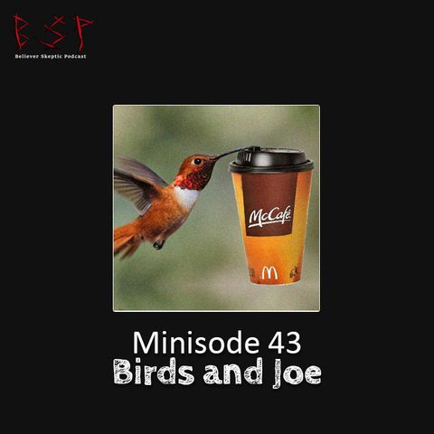 Minisode 43 – Birds and Joe