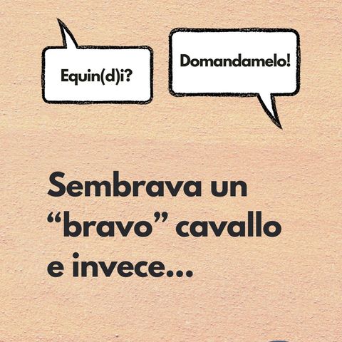 Sembrava un bravo cavallo...