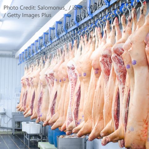 What's Shakin with Bacon? Volatility in the Pork Market