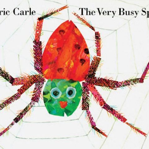 The very busy spider