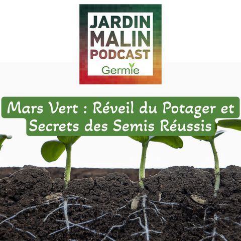Mars : Réveil du potager et premiers semis