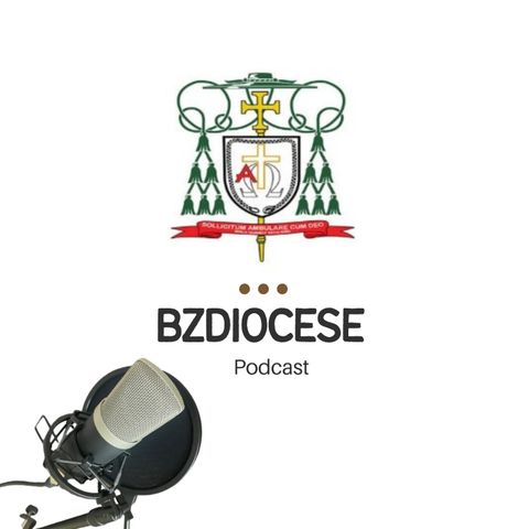 BZDiocese MASTER