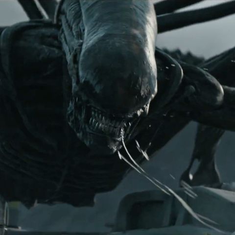 Alien: Covenant 👎 - Ricciotto 238