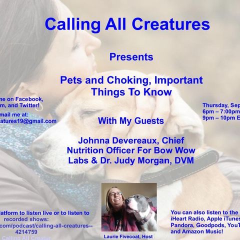 Calling All Creatures Presents Pets and Choking, Important Things To Know