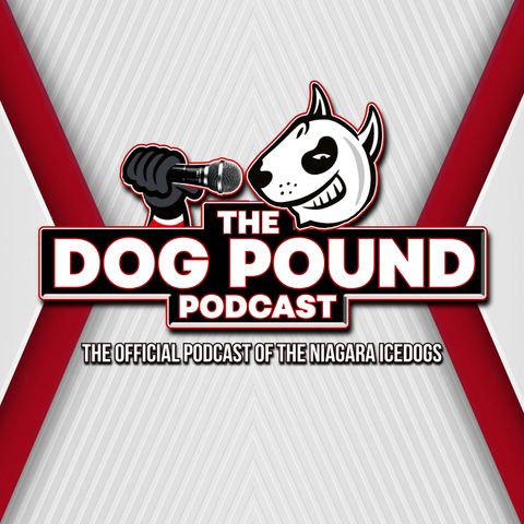 Dog Days of Winter - Dog Pound Podcast: Niagara IceDogs Mid-February Outlook