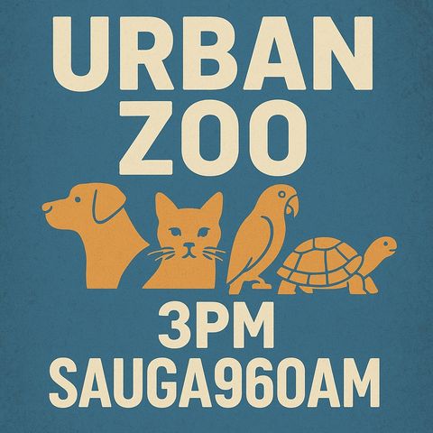 Urban Zoo - Episode 84 - The Mystery of the Walking Whale, & Enhancing Quality of Life for Our Senior Pets