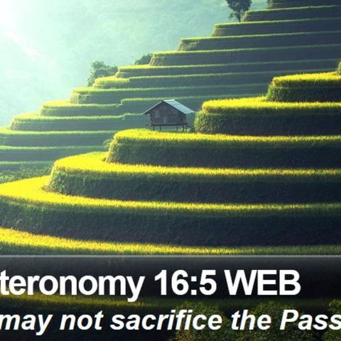 Deuteronomy chapter 16