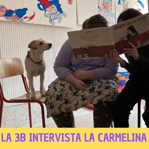 INTERVISTA A CARMELINA