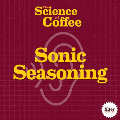 6) Sonic Seasoning